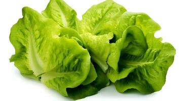 Photo of Fresh Lettuce isolated on white background