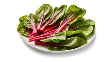 Photo of Swiss chard on plate isolated on white background