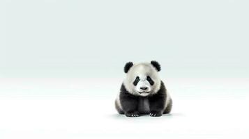 Photo of a panda on white background