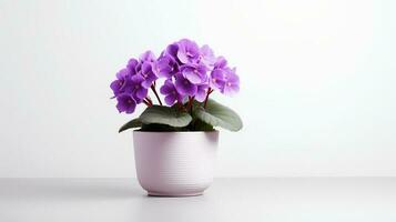 Photo of Saintpaulia in minimalist pot as houseplant for home decoration isolated on white background. Generative AI