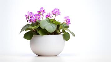 Photo of Saintpaulia in minimalist pot as houseplant for home decoration isolated on white background. Generative AI