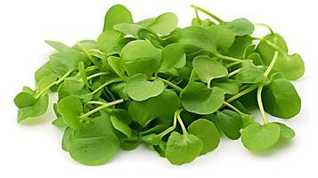 Photo of Watercress isolated on white background