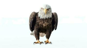 foto de un calvo águila en blanco antecedentes. generativo ai