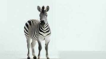 Photo of a zebra on white background. Generative AI