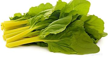 Photo of Mustard greens isolated on white background