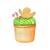 Christmas watercolor cupcake with green cream and gingerbread vector