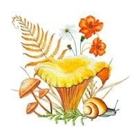 Autumn forest watercolor composition. Illustration with mushrooms,flowers,dry leaves, snail. vector