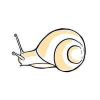 Hand drawn snail. Doodle vector illustration