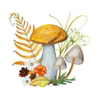 Autumn watercolor composition. Illustration with mushrooms, flowers, dry leaves. vector