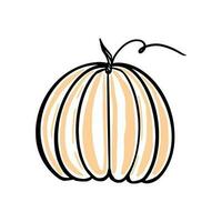 Hand drawn pumpkin. Doodle vector illustration