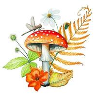 Illustration with fly agaric,dry leaves,herbs. Forest mushroom vector