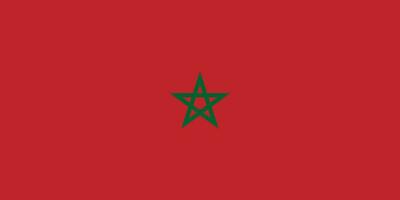 The flag of the Kingdom of Morocco is isolated in official colors. vector