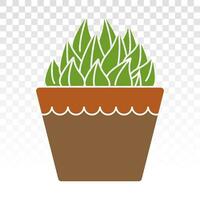 Haworthia Cooperi decorative plant flat colour icon for apps and websites vector