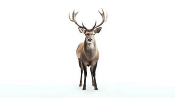 Photo of a deer on white background. Generative AI