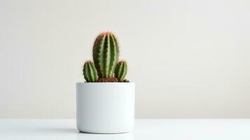 Photo of cactus in minimalist pot as houseplant for home decoration isolated on white background. Generative AI