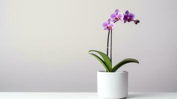 foto de orquídea en minimalista maceta como planta de casa para hogar decoración aislado en blanco antecedentes. generativo ai