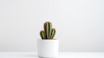 Photo of cactus in minimalist pot as houseplant for home decoration isolated on white background. Generative AI