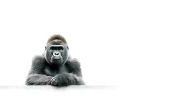 Photo of a Harambe on white background. Generative AI