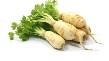 Photo of Parsnips isolated on white background