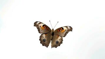 Photo of a Common Buckeye Butterfly on white background. Generative AI