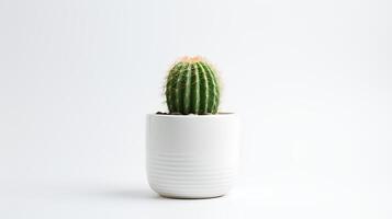 foto de cactus en minimalista maceta como planta de casa para hogar decoración aislado en blanco antecedentes. generativo ai