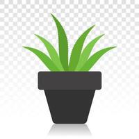 Green aloe vera  with potted plant flat icon for apps and websites vector