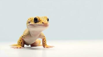 Photo of a leopard gecko on white background. Generative AI