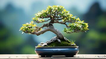 Photo of bonsai in minimalist pot as houseplant for home decoration isolated on blurry background. Generative AI