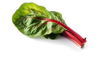 Photo of Swiss chard isolated on white background