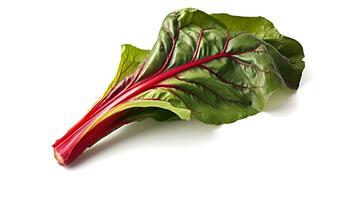 Photo of Swiss chard isolated on white background