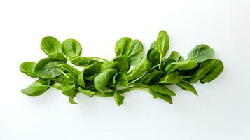 Photo of Spinach isolated on white background