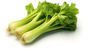 Photo of Celery isolated on white background