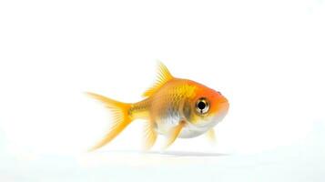 Photo of a tetra fish on white background. Generative AI