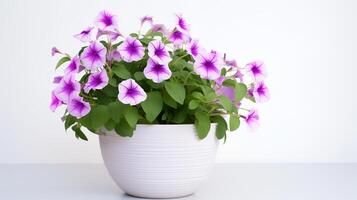 Photo of Petunia in minimalist pot as houseplant for home decoration isolated on white background. Generative AI