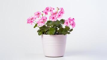 Photo of Geranium in minimalist pot as houseplant for home decoration isolated on white background. Generative AI