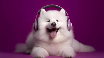 Photo of samoyed using headphone  on purple background. Generative AI