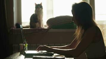 Young Caucasian girl freelancer working at a laptop at home. Remote work. Is typing on the keyboard. Business woman at a computer. In the background, a cat is sitting on the windowsill. video