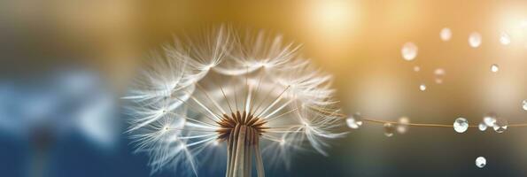Abstract blurred nature background dandelion seeds parachute. Bokeh pattern. Generative AI photo