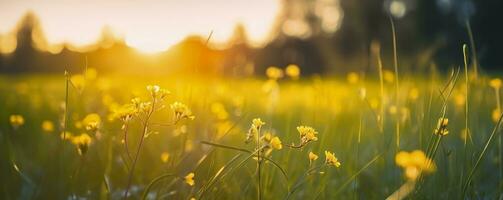 Tranquil spring summer nature closeup and blurred forest background. Generative AI photo