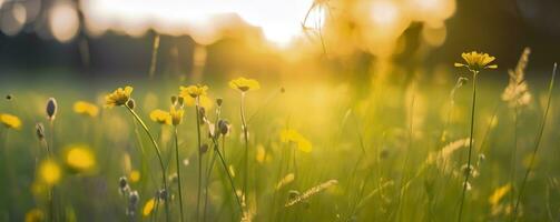 Tranquil spring summer nature closeup and blurred forest background. Generative AI photo