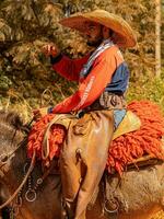 Apore, Goias, Brazil - 05 07 2023 Horseback riding event open to the public photo