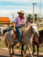 aporo, goiás, Brasil - 05 07 2023 lado de caballo montando evento abierto a el público foto