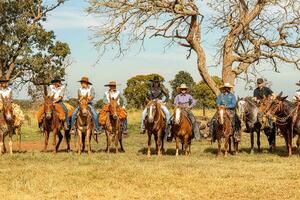 aporo, goiás, Brasil - 05 07 2023 lado de caballo montando evento abierto a el público foto