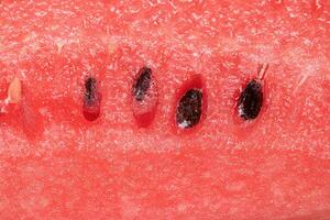 red texture of a sliced watermelon with seeds photo