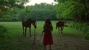 popular blogger is recording videoblog standing in forest meadow with dog and horses on background talking to subscribers. Social media and people concept. video