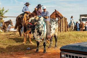 aporo, goiás, Brasil - 05 07 2023 lado de caballo montando evento abierto a el público foto