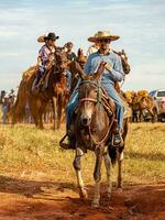 aporo, goiás, Brasil - 05 07 2023 lado de caballo montando evento abierto a el público foto