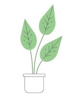 Monstera plant in pot monochrome flat vector object. Big exotic plant leaves with venes. Editable black and white thin line icon. Simple cartoon clip art spot illustration for web graphic design