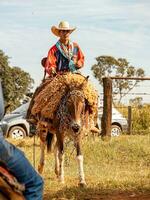 aporo, goiás, Brasil - 05 07 2023 lado de caballo montando evento abierto a el público foto