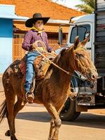 Apore, Goias, Brazil - 05 07 2023 Horseback riding event open to the public photo